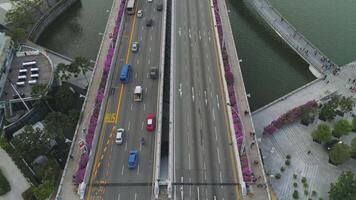 Antenne oben Aussicht zum Autobahn im sonnig Sommer- Tag und Fußweg mit lila Blumen Gebüsch. Schuss. über Aussicht Auto der Verkehr auf Brücke Über das Fluss. video