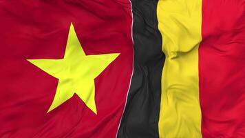 Vietnam en belgie vlaggen samen naadloos looping achtergrond, lusvormige buil structuur kleding golvend langzaam beweging, 3d renderen video