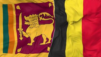 Sri Lanka and Belgium Flags Together Seamless Looping Background, Looped Bump Texture Cloth Waving Slow Motion, 3D Rendering video