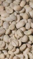 Vertical slow motion of roasted coffee beans falling. Organic coffee seeds. video