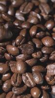 câmera lenta vertical de grãos de café torrados caindo. sementes de café orgânico. video