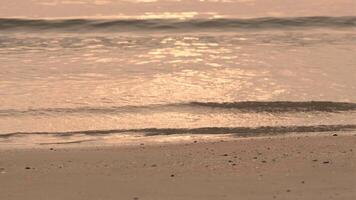 Golf spatten in zonsopkomst of zonsondergang Aan een tropisch strand. video