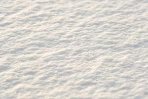 winter background. Snow texture. White pure snow photo