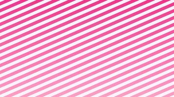 Pink line background animation abstract background video