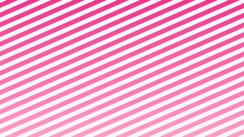 Pink line background animation abstract background video