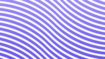 Wavy lines on purple background, abstract animation graphics video