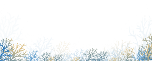 under vattnet scen i djup blå hav för sommar bakgrund med tropisk havsbotten med rev png