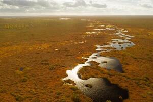 An aerial view of an autumn bog in Yelnya, Belarus, autumn. Ecosystems ecological problems climate change photo