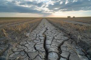 AI generated A parched farm field displays cracked lines under the scorching sun, water scarcity image photo