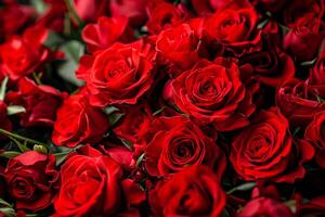 AI generated Close-Up of Roses Blooming Romantic love valentine's background Ai Generated photo
