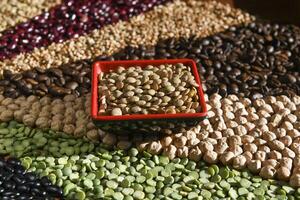 Bowl with raw white lentils on various seeds grain photo