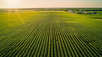 AI generated Aerial view countryside with emerald green fields cloudy sky showcasing the beauty of rural architecture. Ai Generated photo