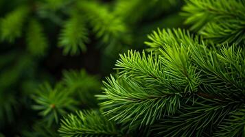 AI generated Photo of bright green pine needles set against dark, shadowy background. Ai Generated