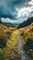 AI generated Pathway in the middle of grassy field under cloudy sky Ai Generated photo