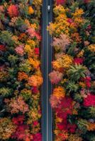 AI generated Photo of straight road that cuts through the middle of dense, colorful autumn foliage. single white car should be visible on the road, emphasizing solitude and tranquility Ai Generated
