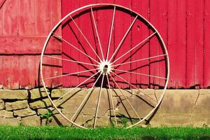 An old wagon wheel that's out on the farm, I had just painted it a few months before. photo