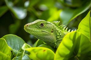 AI generated vibrant green lizard perched on bright green leaves Ai generated photo