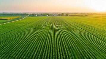 AI generated Top aerial view of green fields and meadows, landscape with lines of fields, grass, trees, indicating healthy crop growth. Ai Generated photo