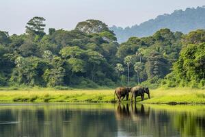 AI generated tranquil scene in nature where two elephants are seen near the water edge. Ai generated photo