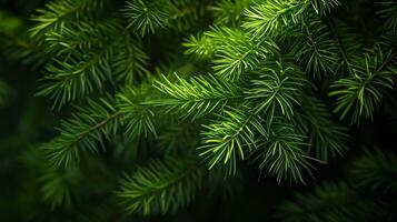 AI generated Photo of bright green pine needles set against dark, shadowy background. Ai Generated