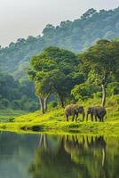 AI generated tranquil scene in nature where two elephants are seen near the water edge. Ai generated photo