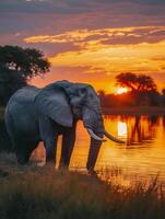 ai generado elefante en pie por un agua cuerpo a puesta de sol ai generado foto