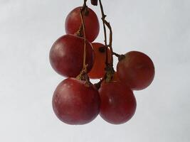 Bunch of ripe dark blue, purple grapes Isolated on top and side view. white background photo