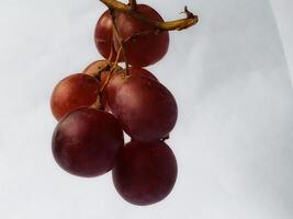 Bunch of ripe dark blue, purple grapes Isolated on top and side view. white background photo