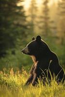 ai generado oso sentado en medio de alto césped con un bosque en el fondo, iluminado por el resplandor de luz de sol ai generado foto