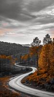 AI generated Photo of road amidst serene landscape. The right side of the image is dominated by trees with leaves Ai Generated