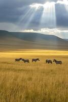 ai generado sereno paisaje dónde un grupo de cebras pacer pacíficamente en medio de alto, dorado pastos ai generado foto