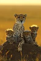 AI generated cheetah with her cubs resting on a mound in the wild, bathed in the golden light of the rising sun Ai generated photo