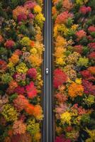 AI generated Photo of straight road that cuts through the middle of dense, colorful autumn foliage. single white car should be visible on the road, emphasizing solitude and tranquility Ai Generated