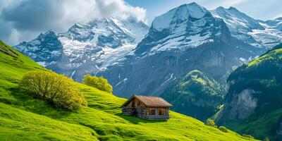 AI generated photo of a wood barn in a green field surrounded by green in a forest Ai Generated