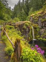 ai generado sereno imagen capturas pintoresco escena de naturaleza presentando cascada, bosque, estanque y rocoso ai generado foto