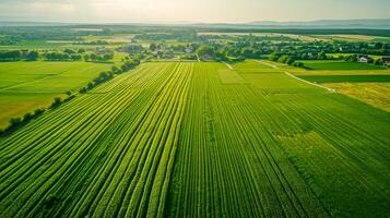 ai generado aéreo ver campo con Esmeralda verde campos nublado cielo exhibiendo el belleza de rural arquitectura. ai generado foto