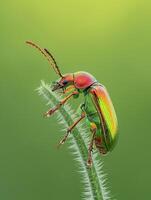 AI generated vibrant, colorful beetle perched on a green stem against a soft green background Ai generated photo