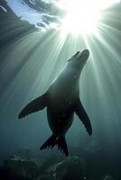 AI generated sea lion swimming underwater, illuminated by beams of sunlight piercing through the surface Ai generated photo