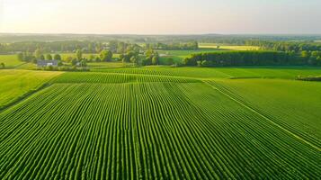 ai generado parte superior aéreo ver de verde campos y prados, paisaje con líneas de campos, césped, árboles, indicando sano cosecha crecimiento. ai generado foto