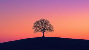 AI generated lone tree silhouetted against a gradient sunset sky Ai generated photo