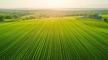 ai generado aéreo ver campo con Esmeralda verde campos nublado cielo exhibiendo el belleza de rural arquitectura. ai generado foto