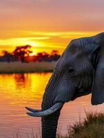 ai generado elefante en pie por un agua cuerpo a puesta de sol ai generado foto