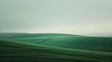 ai generado minimalismo paisaje con transparente círculo, oscuro verde color, neutral colores, hermoso ai generado foto