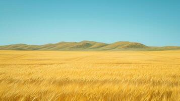 AI generated serene image captures vast, open field covered with golden wheat. The terrain is rolling with subtle hills to the landscape. Ai Generated photo