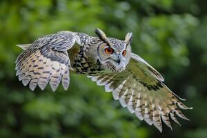 AI generated owl in flight. The owls wings are fully extended, showcasing detailed feather patterns Ai generated photo