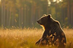 ai generado oso sentado en medio de alto césped con un bosque en el fondo, iluminado por el resplandor de luz de sol ai generado foto