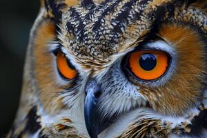 AI generated photo animal eagle owl nature beak bird prey feather Ai generated