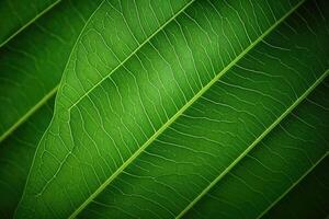 AI generated Closeup tropical leaves with abstract green texture, creating a natural macro background. photo