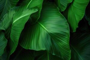 AI generated Green leaf texture on tropical background. photo