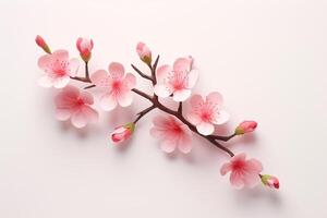 ai generado sencillo y linda 3d Cereza florecer rama ilustración. foto